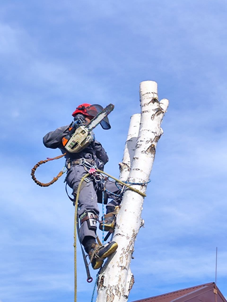 Работают специалисты с многолетним опытом <br>